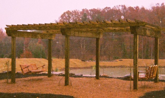 Arbor with Swings