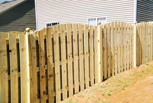 Wood Fence